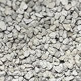 GARDENWISE Horticultural Pumice for Plants, Natural