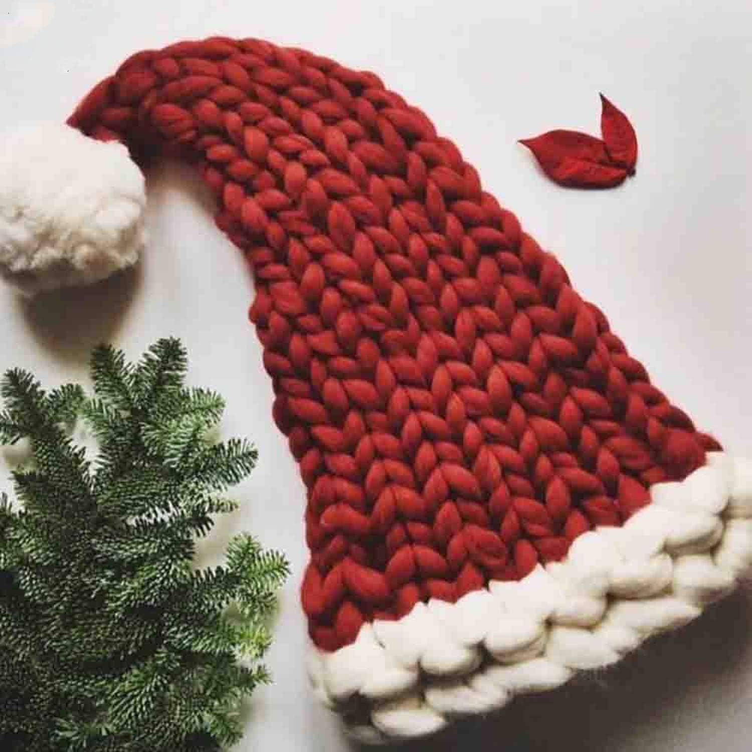 Eric Carl Parents Christmas Hat Baggy 