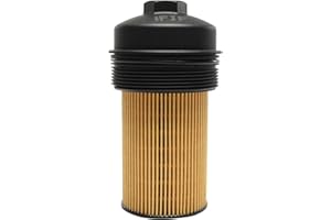 iFJF EC781 Oil Filter Cap and FL2016 Oil Filter Replacement for 2003-2007 6.0L 2008-2010 6.4L Powerstroke F250 F350 F450 F550 Super Duty 2003-2005 Excursion 1840754C91 3C3Z-6766-CA Plastic Cap