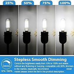 E12 LED Light Bulbs 40 Watt Equivalent, 4W