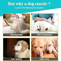 Dog Recovery Suit After Surgery Soft Long Sleeve