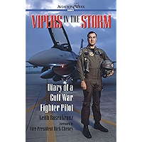 Vipers in the Storm: Diary of a Gulf War Fighter Pilot (Aviation Week Books) book cover