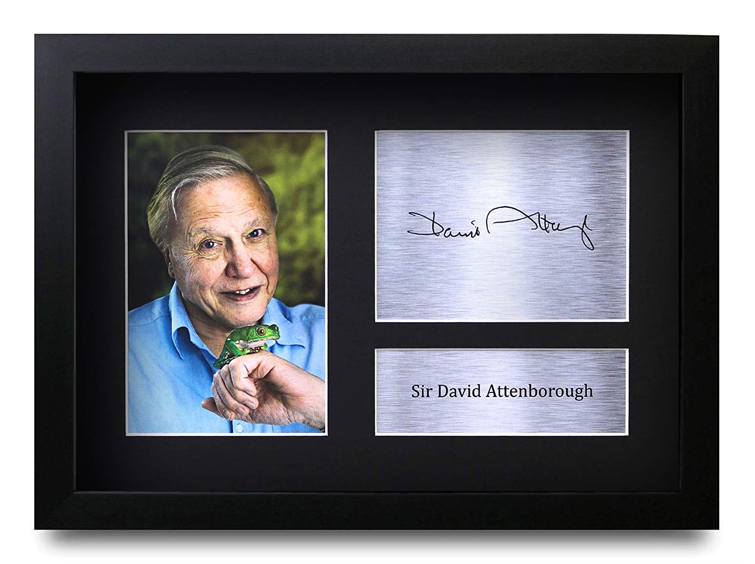 HWC Trading FR David Attenborough Gifts A4 Printed Autograph Signed FRAMED Wildlife Gift Print Photo Picture Display