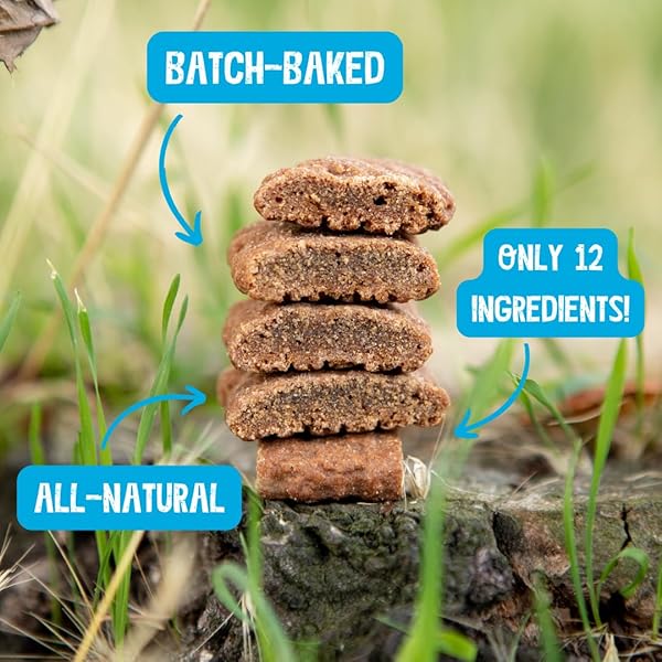 BLUE DOG BAKERY NATURAL DOG TREATS, SOFTIES, PEANUT BUTTER FLAVOR, 16.2OZ BAG, 1 BAG