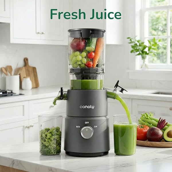 CANOLY COLD PRESS JUICER, 4.5″ WIDE FEED CHUTE JUICER MACHINE