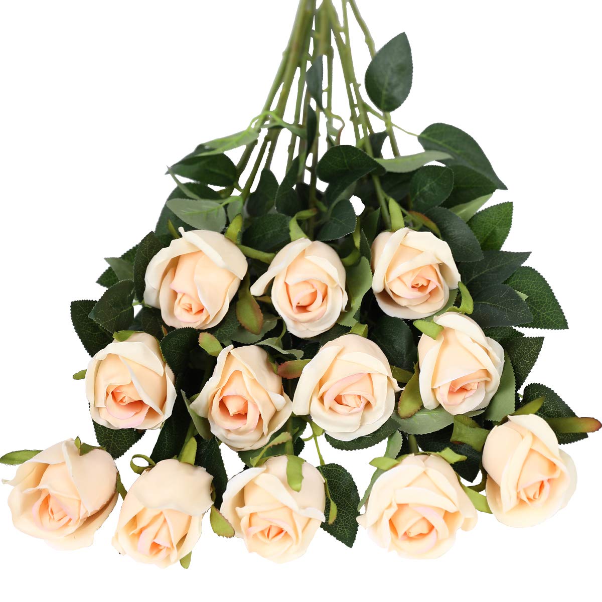 Tifuly Artificial Flowers,12 Pcs Single Long Stem Fake Rose Silk Flowers Faux Rose Bridal Bouquet Realistic Flower for Wedding Party Home Table Decoration Centerpieces(Bud Roses,Color Champagne)