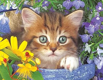 puzzles amazon niños