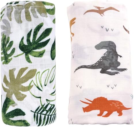 dinosaur muslin blanket
