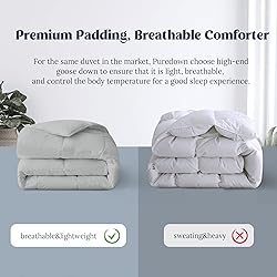 puredown® Feather and Down Comforter Twin