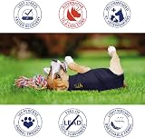 MPS Medical Pet Shirt Dogs Medium Plus Blue Recovery Suit view 2