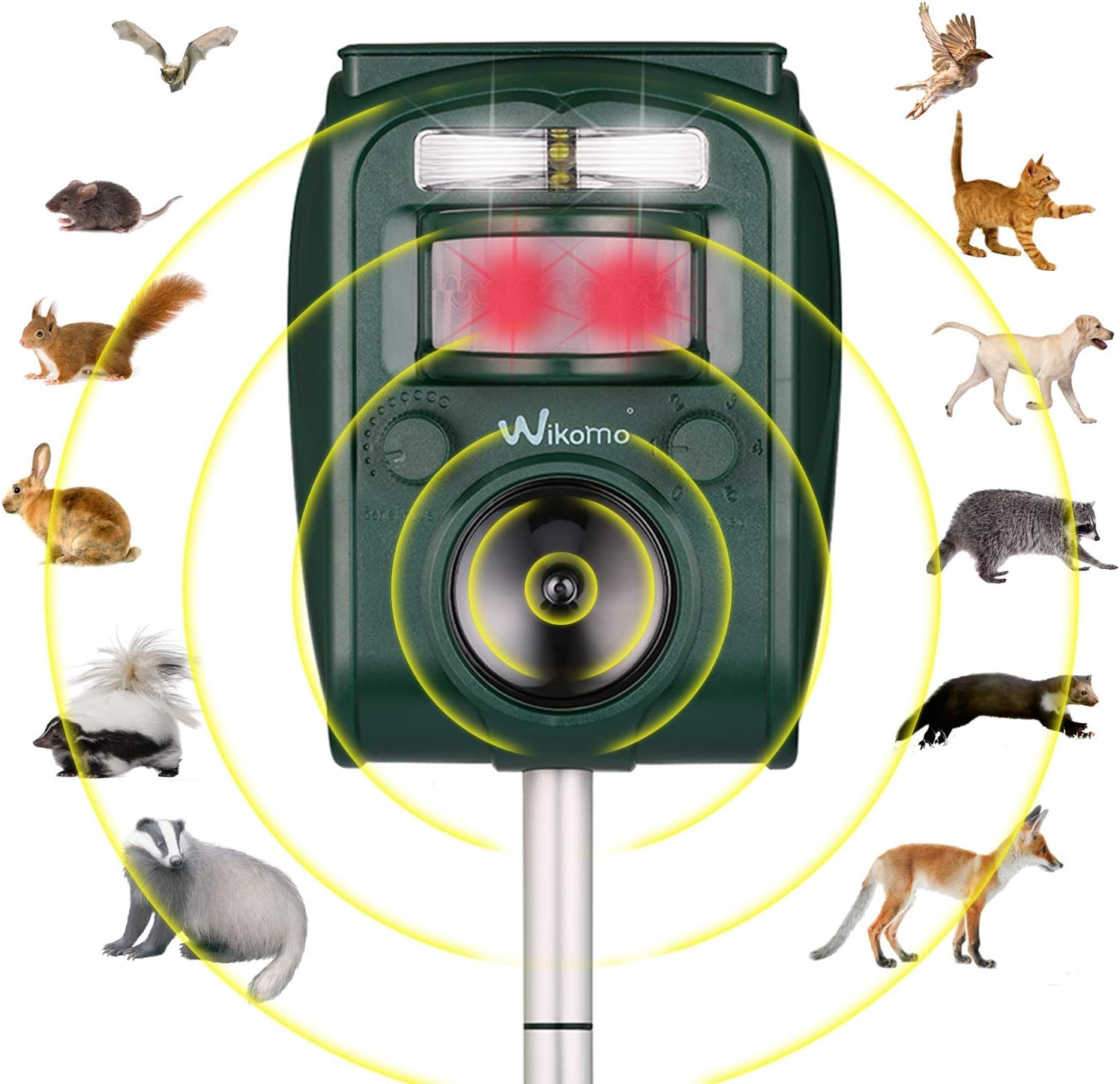 Répulsif Chat Ultrason Solaire Repulsif Chat Exterieur Sensibilité et