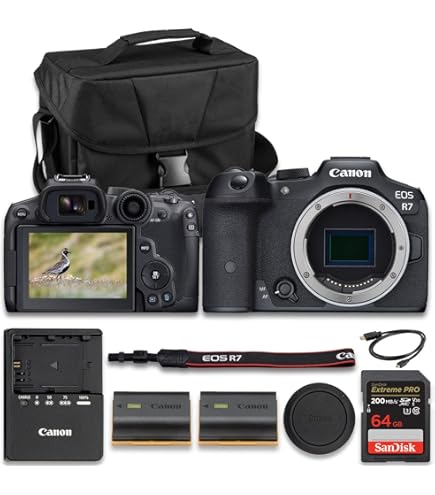 Amazon.com : Canon EOS R7 Body Mirrorless Camera (International