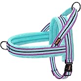 Didog Soft Flannel Padded Dog Vest Harness, No Pull/Quick Fit Reflective Dog Strap Harness, Easy for Training Walking (XS:Chest 15-18", Mixed-Blue)