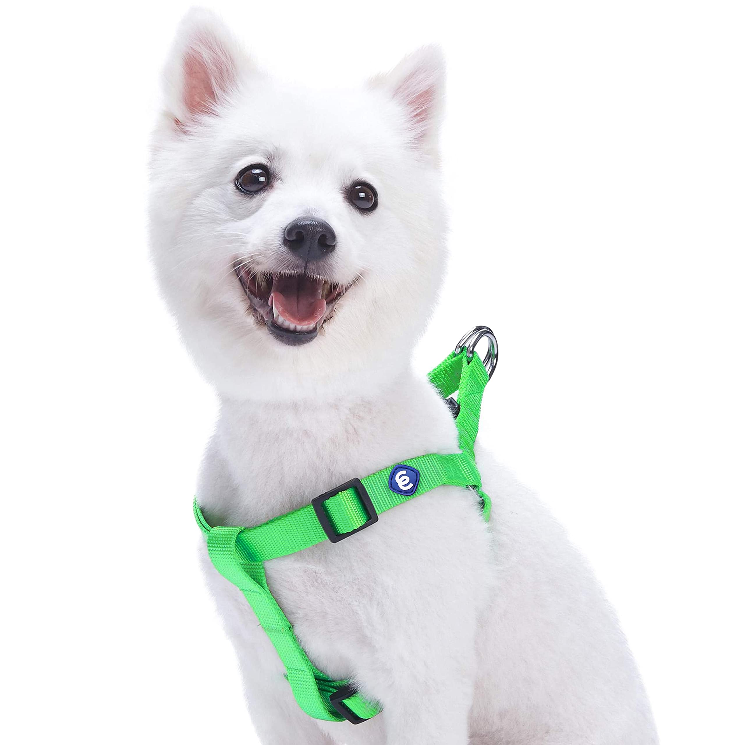 Blueberry Pet Classic Solid Adjustable Dog Harness, Matching Collar and Lead Available Separately