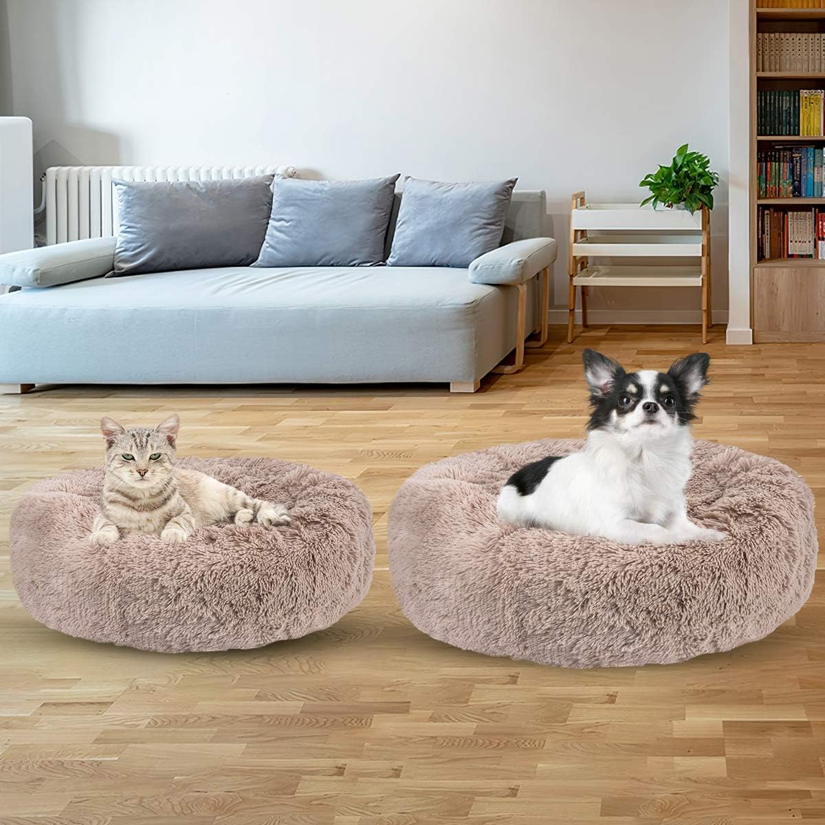 JOEJOY Dog Beds for Small Dogs, Soft Faux Short Plush Dog Beds, Cat Beds for Indoor Cats Pet Bed for Kitten Self Warming Winter Comfy Warming Puppy Beds for Small Dogs Washable : Pet Supplies