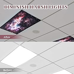 Patelai 4 x 2 Feet Fluorescent Light Cover for
