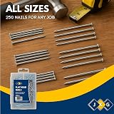 JKG 250 Assorted Nails for Wood Iron Nails Set in Plastic Case view 6