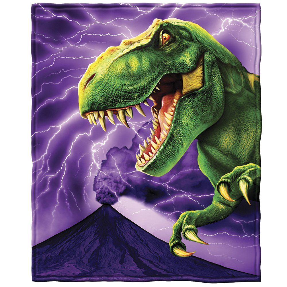 Purple TRex Dinosaur Blanket Throw Blanket Kids Gift Idea 50x60