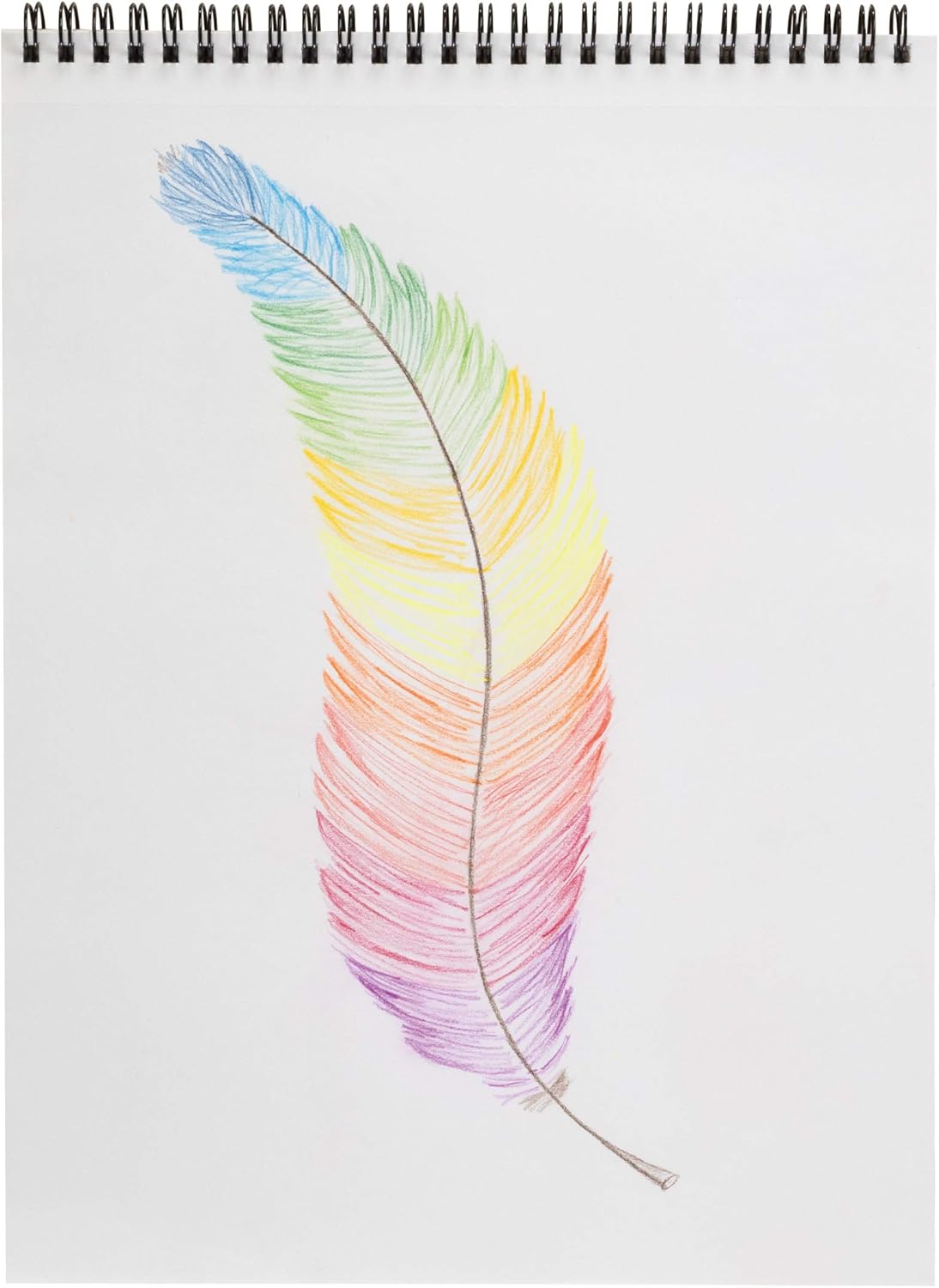 LYRA Waldorf Selection Giant Triangular Colored Pencil, Unlacquered, 6.25 Millimeter Cores, Assorted Colors, 12-Pack (3711121) : Wood Colored Pencils : Office Products