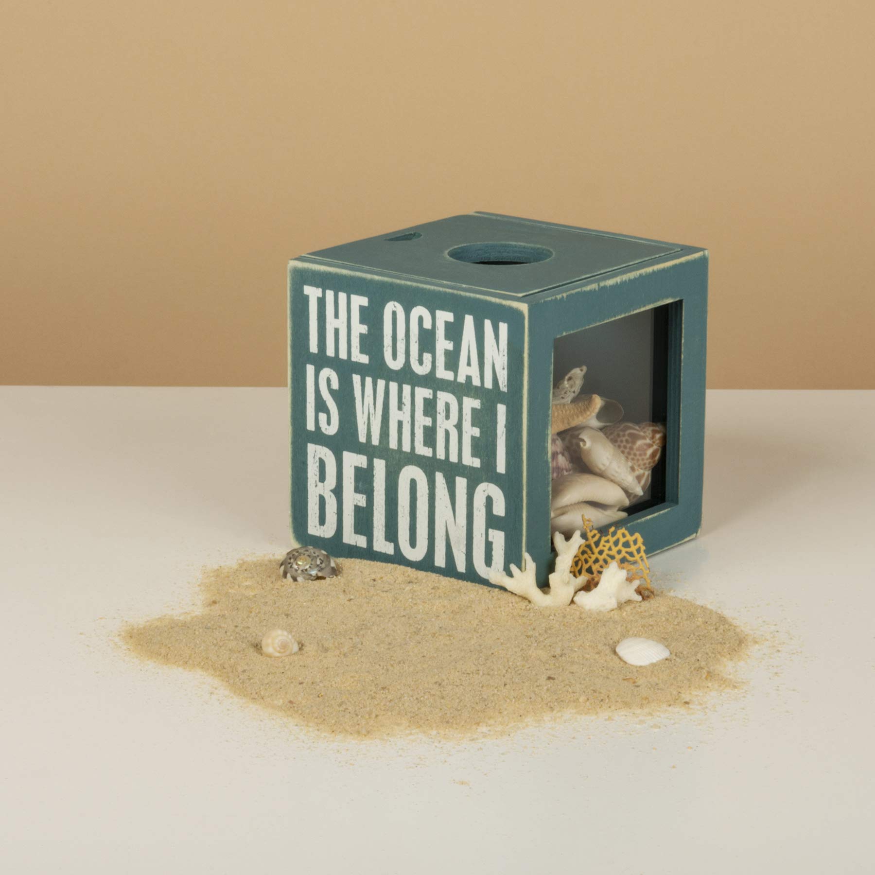Primitives by Kathy 27814 Beach House Decor Sea Shell Holder, 4.25 x 4.25 x 4.25-inches, The Ocean Is Where I Belong
