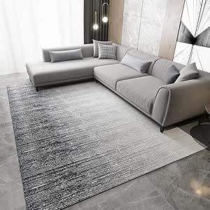 Amazon.com: Rug Modern Minimalist Large Living Room, Shag Rug Fluffy