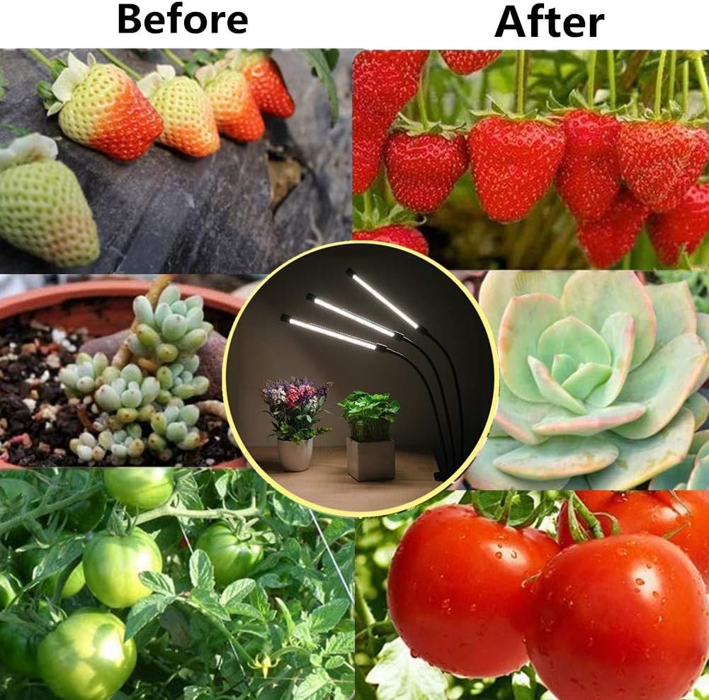 LED Grow Light for Indoor Plant,Elaine Upgraded Version 60W LED Auto ON/Off Timer Full Spectrum Plant Lights 3/6/12H Timing 5 Dimmable Levels for House Garden Hydroponics Succulent Growing: Home Improvement