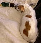 Review Image by K.N K.N