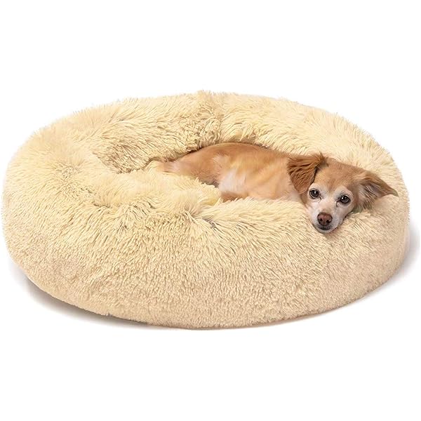 marshmallow cat bed amazon