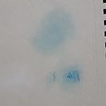 Review Image by R. Marques