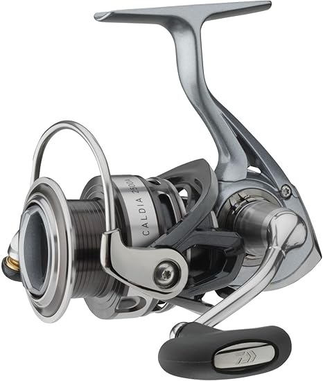 daiwa caldia 2000s