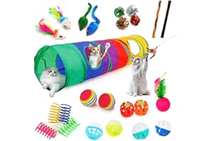 iCAGY 25-Piece Cat Toys Kit with Rainbow Tunnel - Interactive Cat Toy Bundle for Indoor Cats, Kitten Playtime Variety Set Includes Feather Teaser, Springs, Balls, Mice & Noise Toys