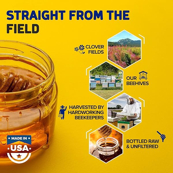 FISCHER’S HONEY CLOVER HONEY 40 OZ – 100% PURE, RAW AND UNFILTERED HONEY IN A SQUEEZE BOTTLE – ALL-NATURAL SWEETENER – RICH FLAVOR PROFILE, PACKED WITH NUTRIENTS