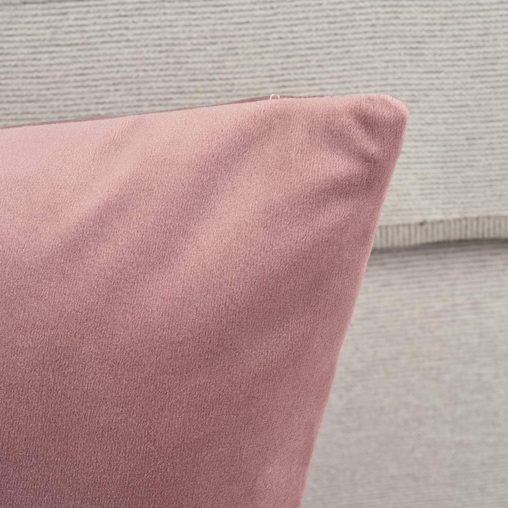 Rythome Comfortable Throw Pillow Cover for Bedding, Decorative Accent Cushion Sham Case for Couch Sofa, Soft Solid Velvet with Zipper Hidden - 22"x22", Mauve Pink: Home & Kitchen
