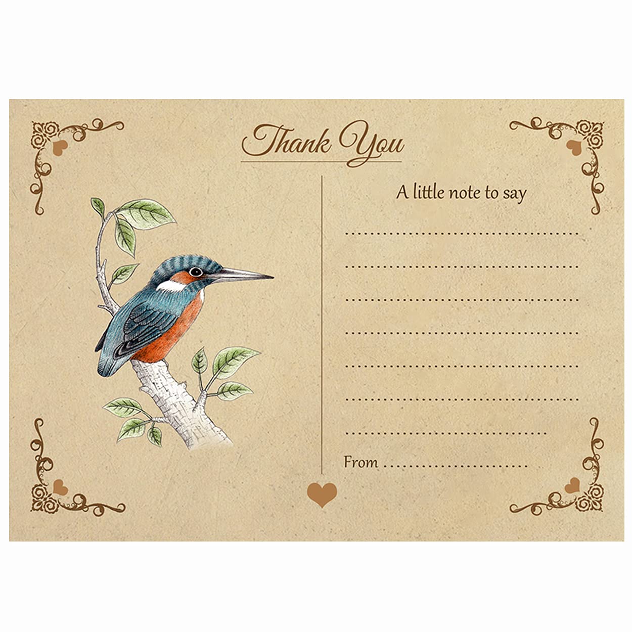 Vintage Kingfisher Thank You Note Cards With Brown Kraft Envelopes - Pack of 15 - By Artstore