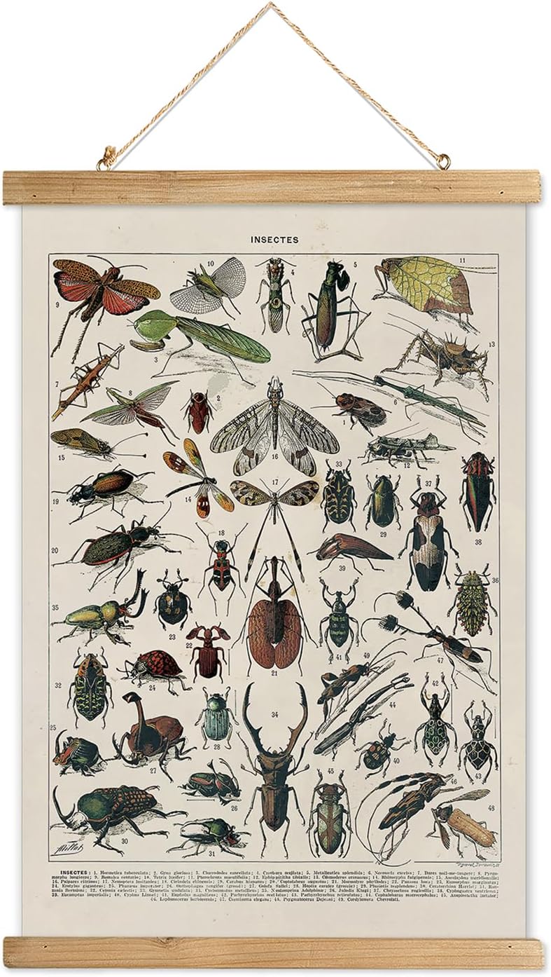 Wall Décor - XIAOAIKA Vintage Entomology Hanging Poster with Wooden Frame, Retro Style Wall Decor Art Painting, Patterns Printed on Linen Without Fading, Ready to Hang (12 x 16)