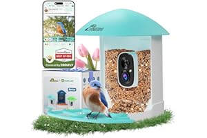 RICHBIRD Bird Feeder with Camera, Smart Bird House with Cam for Outside, 2K HD Auto Record Video, AI Identification & Instant Alerts, Solar Powered, Bird Watching Gifts for Family and Birdlovers