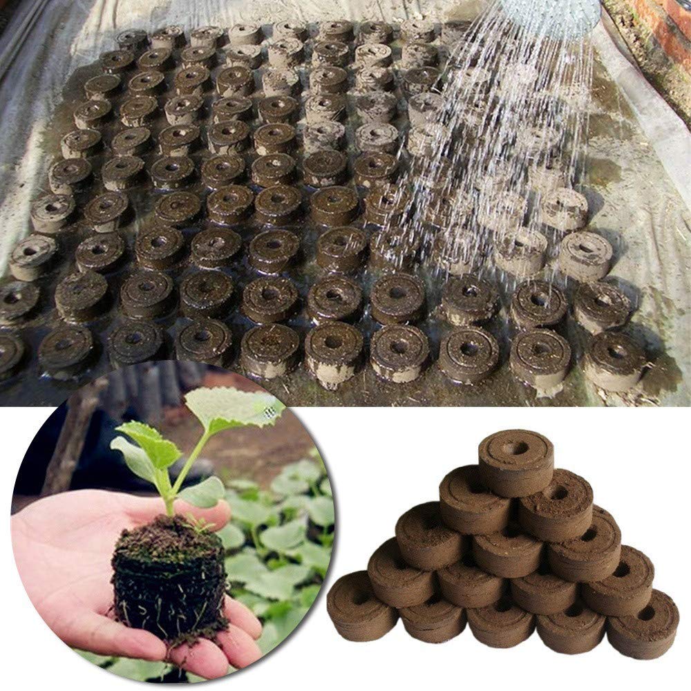 Gardening 5 Pack Jiffy Seed Starting Windowsill Greenhouse With 10