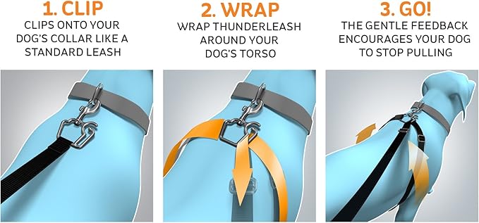 retractable thunderleash