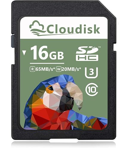 Amazon.com: 2GB SD Memory Card for Canon POWERSHOT Cameras