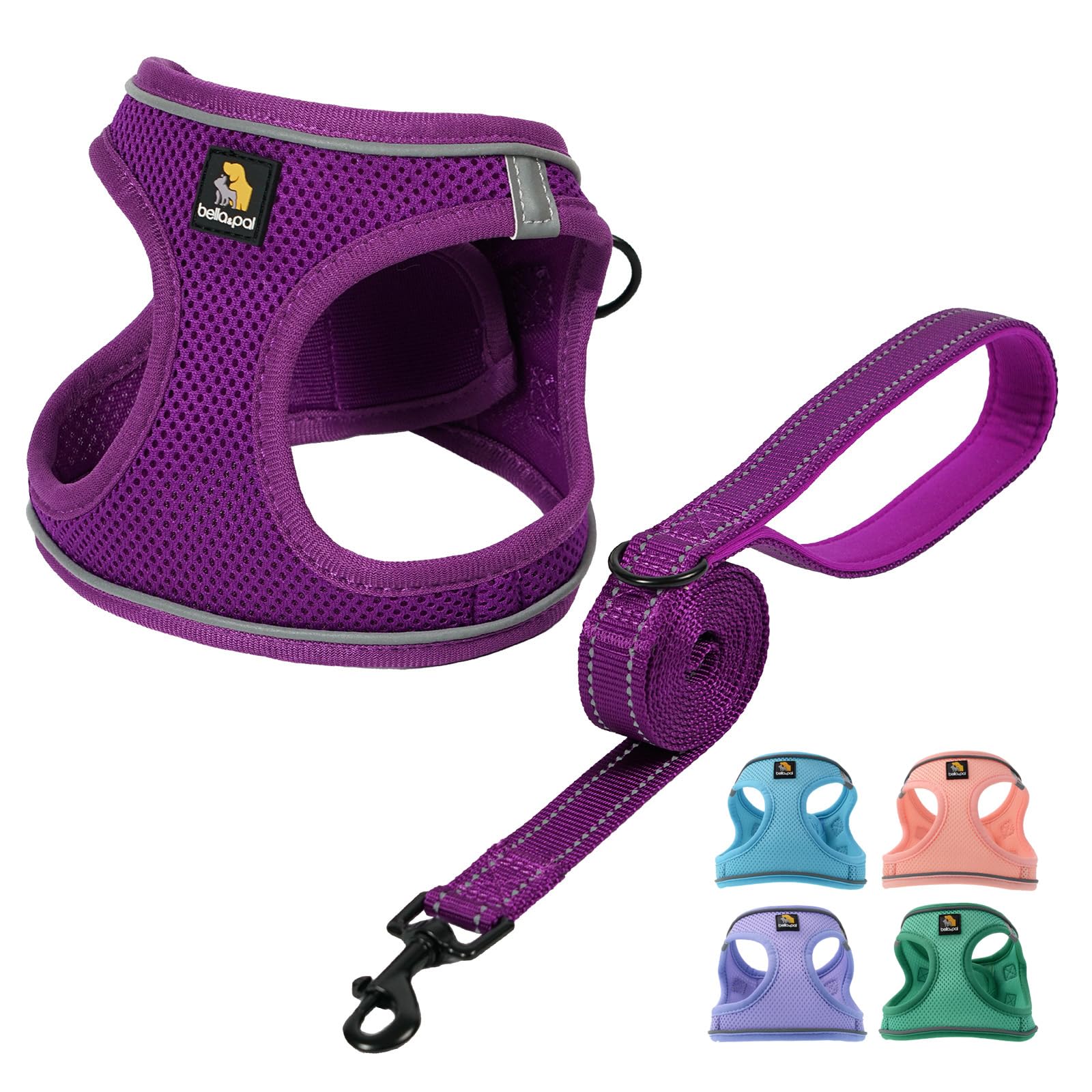 BELLA & PAL Dog Harness and Leash Set, Step-in Puppy Harness, Breathable Air Mesh with Reflective Strips, No Pull Vest for Puppies/Extra Small/Small Dogs, Grape Purple, S