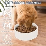 AHX Ceramic Dog Bowl 8 Inch Non-Spill Wide Deep Food & Water Bowl view 4