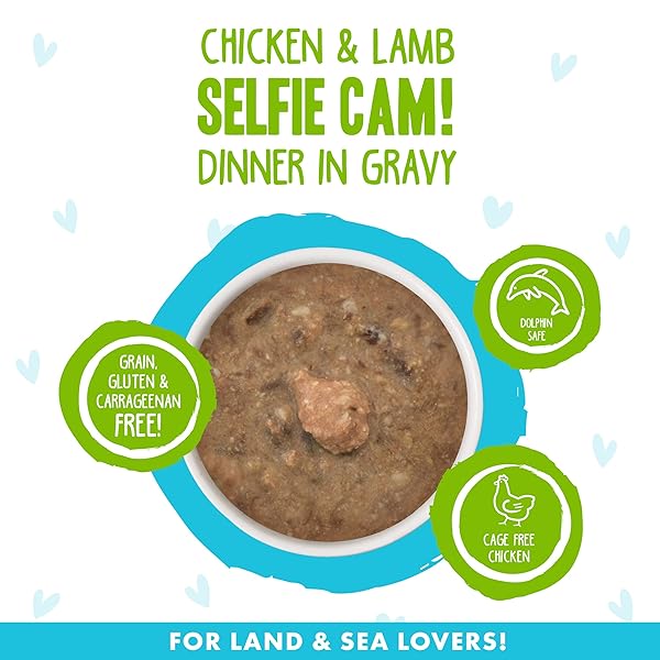 WERUVA B.F.F. OMG – BEST FELINE FRIEND OH MY GRAVY!, SELFIE CAM! WITH CHICKEN & LAMB IN GRAVY CAT FOOD, 2.8OZ CAN (PACK OF 12)