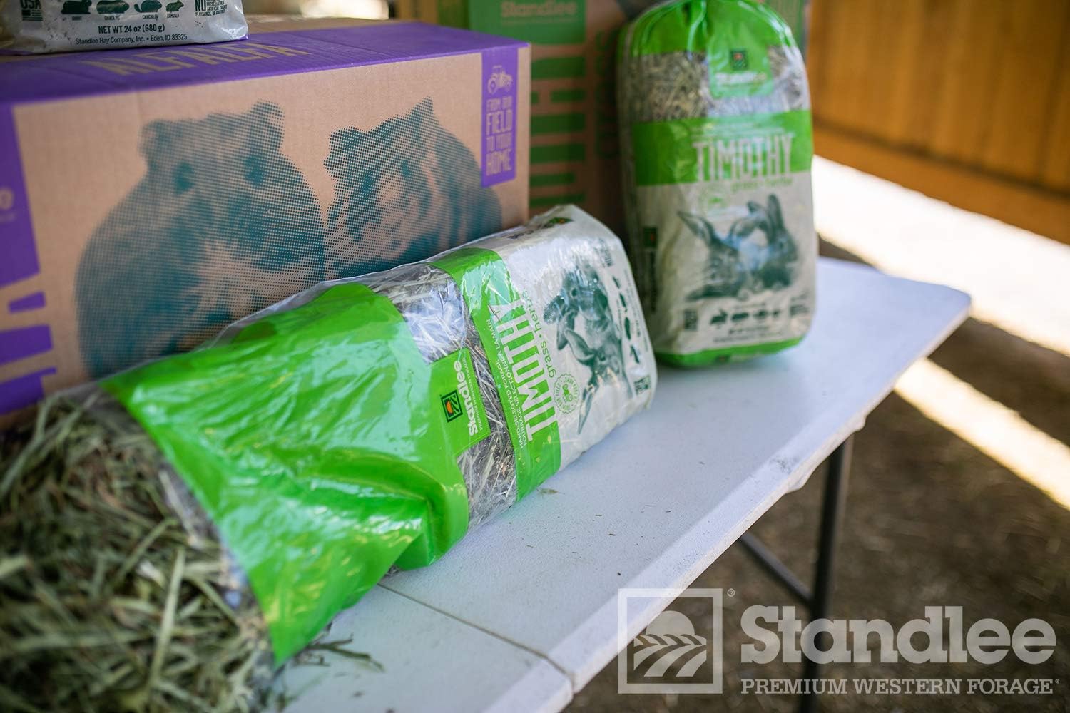 Standlee Premium Western Forage Timothy Grass, 10Lb Box : Pet Supplies