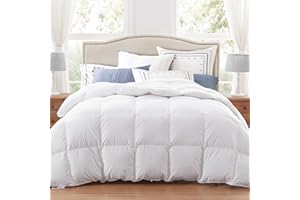 Globon Luxurious Down Comforter King Size,Hotel Collection Duvet Insert Medium Warmth for All Season,100% Soft Cotton Shell with Corner Tabs, White(106x90inches)
