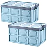 Lidded Storage Bins 2 Pack 30L Collapsible Storage