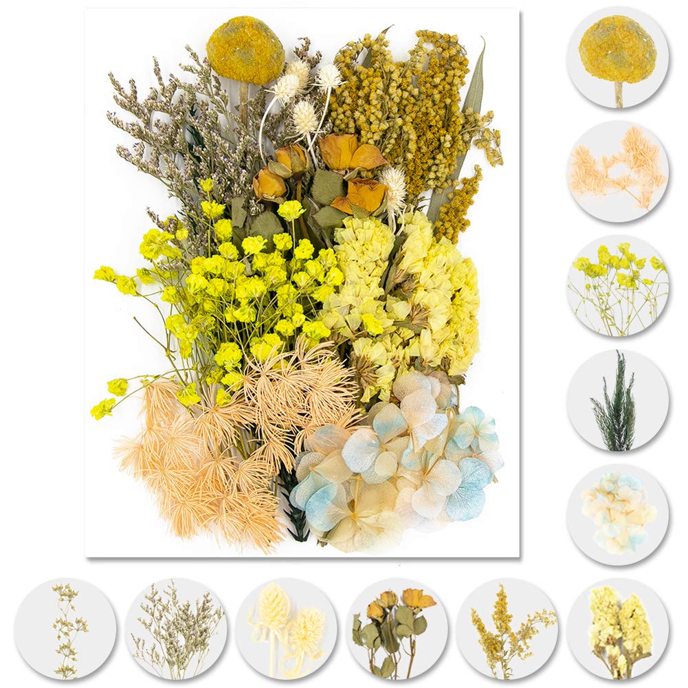 iDattel Natural Dried Flowers Set for Arts and Crafts, DIY Resin Jewelry, Card Making - Multiple Flower Types (Yellow)