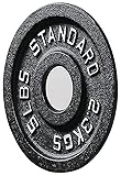 Sporzon! Cast Iron Plate Weight Plate for Strength