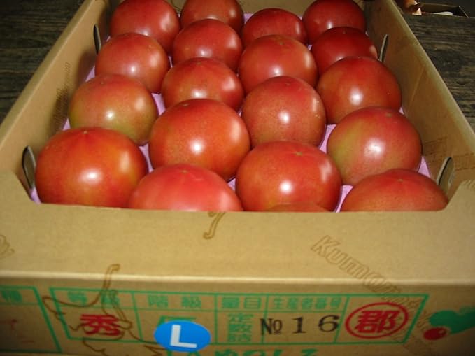 Amazon 熊本県産 トマト Lサイズ 約4kg入り 玉詰め とまと 大和まほろば トマト 通販