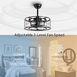 SYXLCYGJ Caged Ceiling Fans with Lights Remote