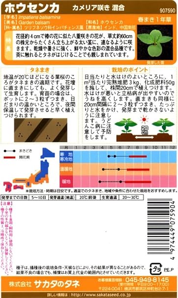 Amazon サカタのタネ 実咲花7590 ホウセンカ カメリア咲き混合 花